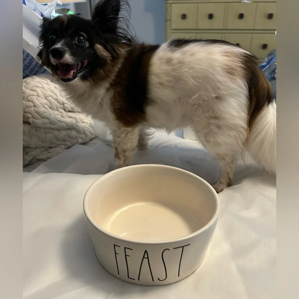 Rae Dunn “Treat” dog dish. Artisan Collection By Magenta White 6 in.